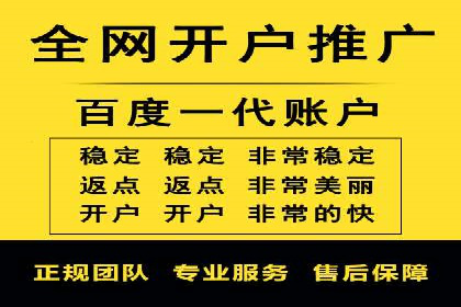 SEM推广策略：成功案例解析